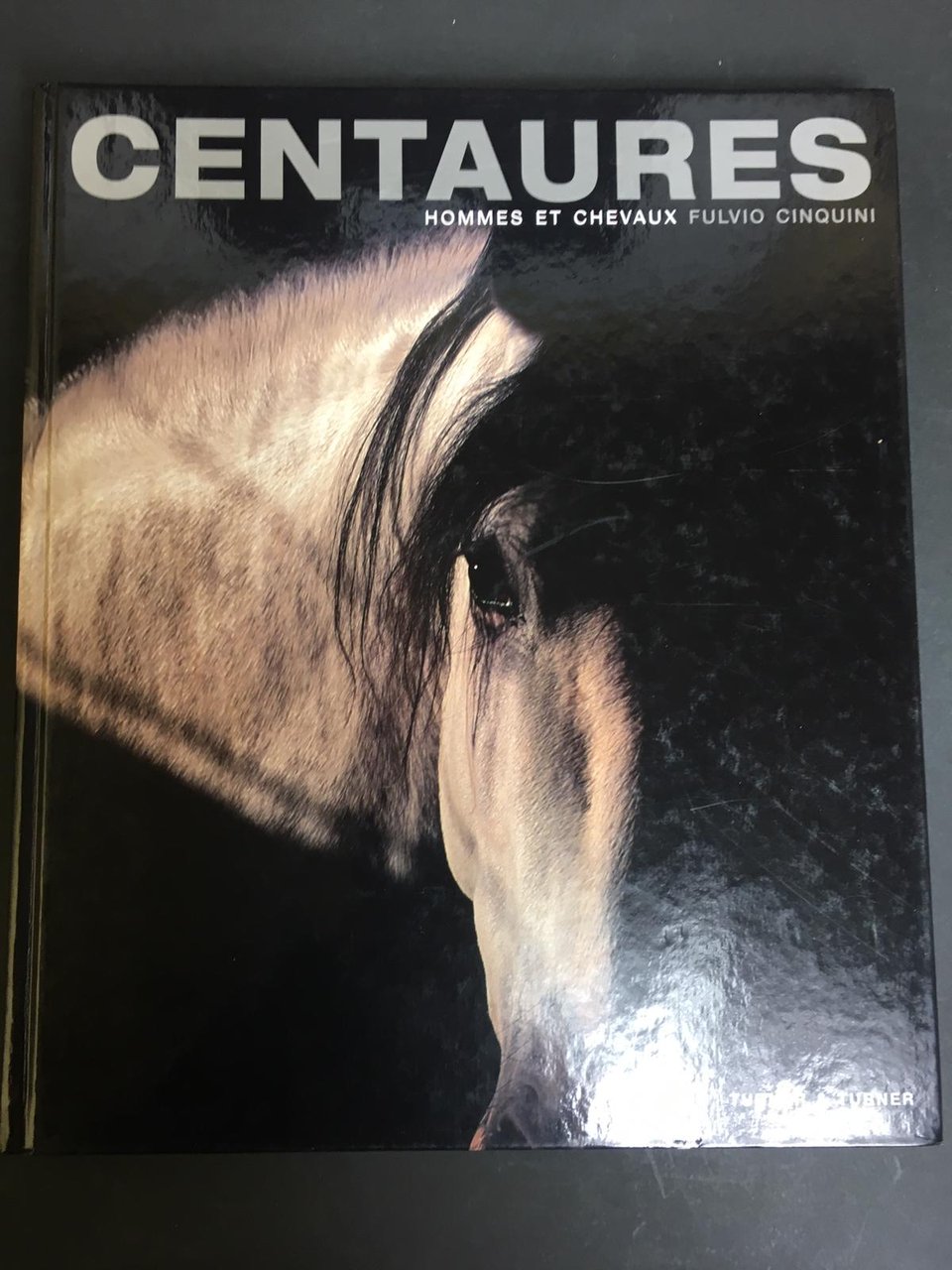 Cinquini Fulvio. Centaures. Hommes et chevaux. Turner &amp; Turner / …