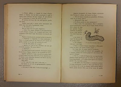 Ciondolino - Bertelli Luigi - 1931 | Immagine Gallery 3