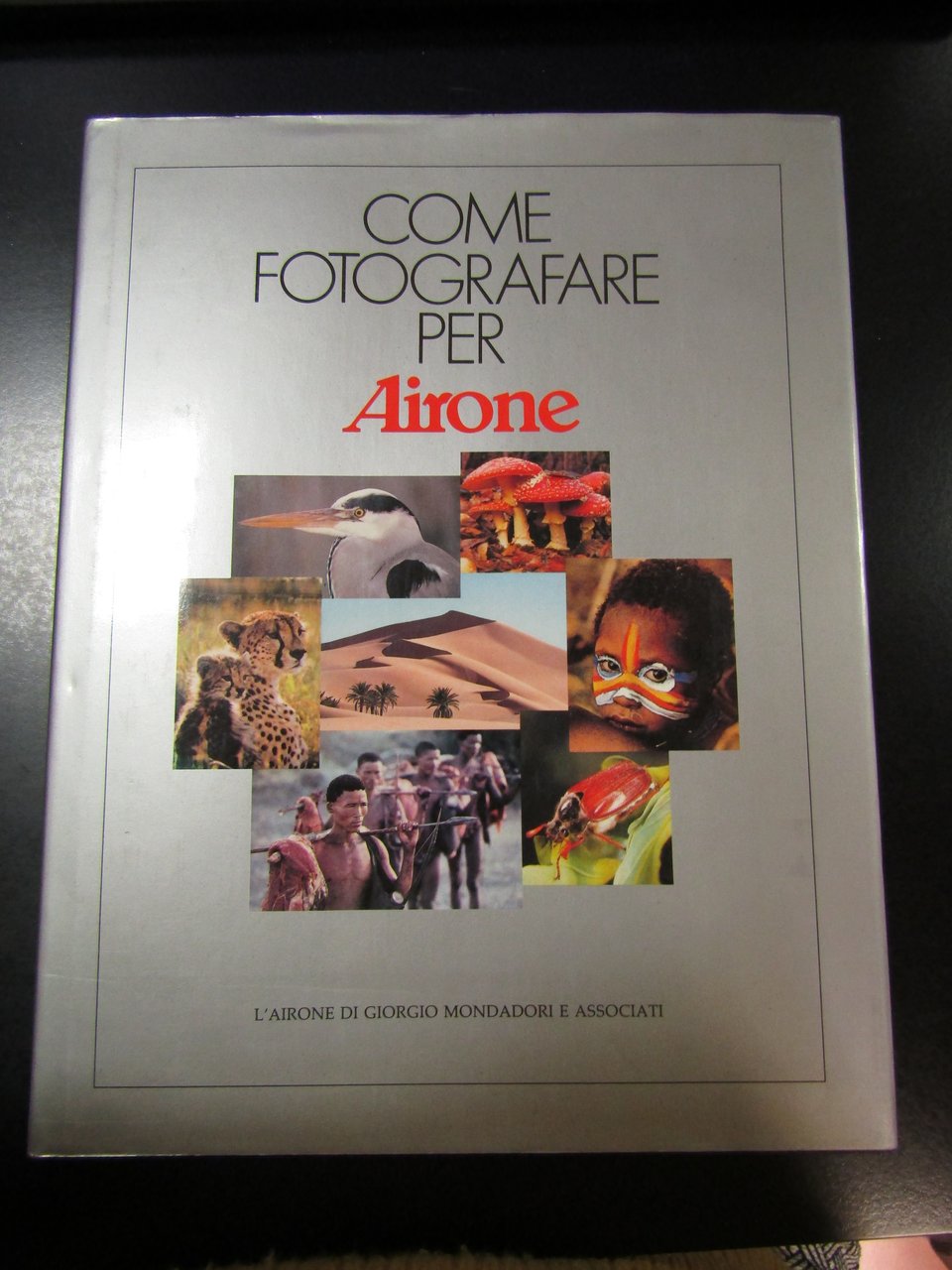 Come fotografare per Airone. L'airone di Giorgio Mondadori 1985.