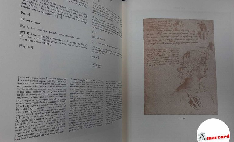 Corpus degli studi anatomici nel Castello di Windsor 3 voll.