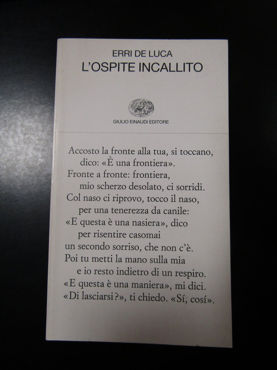 De Luca Erri. L'ospite incallito. Einaudi 2008 - I.