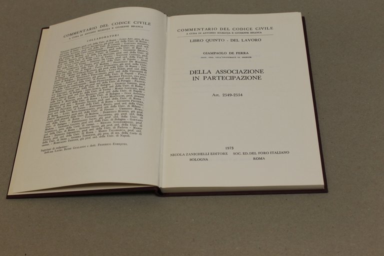 Della associazione in partecipazione | Immagine Gallery 2