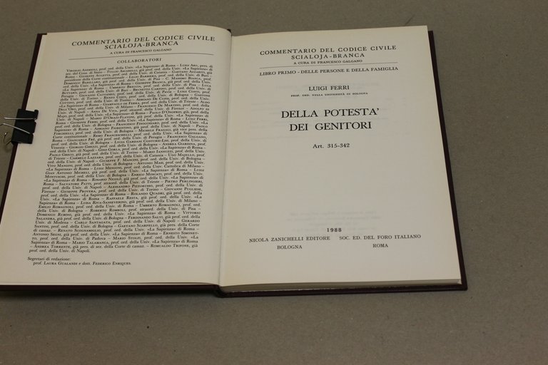 Della potestà dei genitori