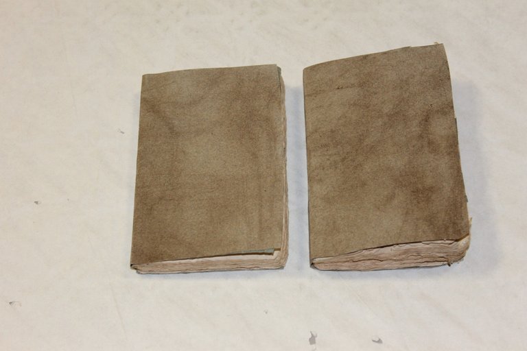 Della tirannide 2 Tomi