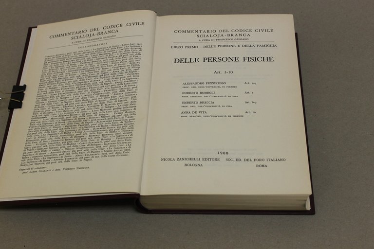 Delle persone fisiche