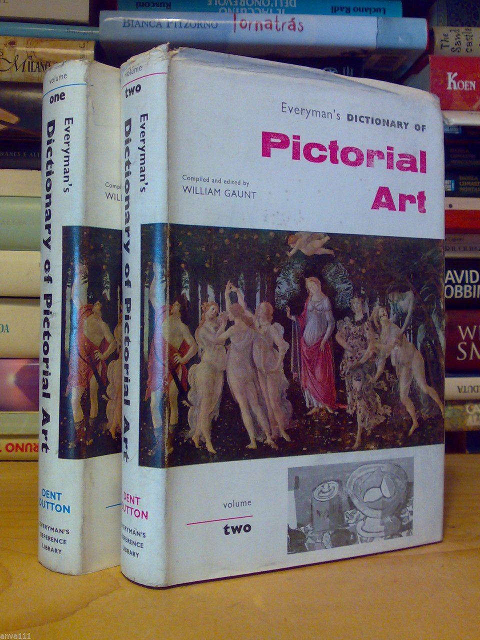 Everyman's DICTIONARY of PICTORIAL ART - 1962