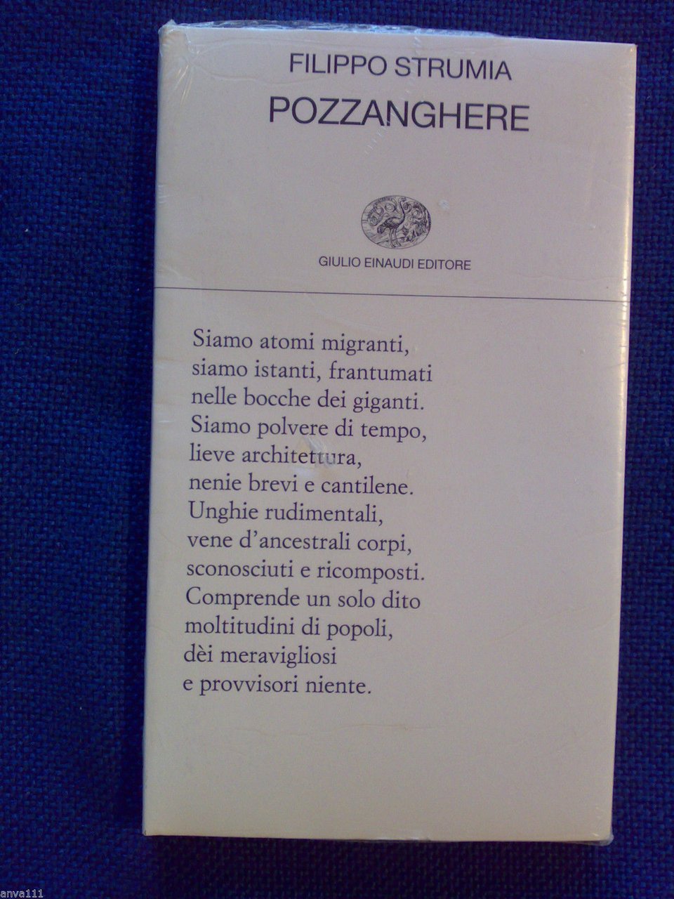 Filippo Strumia - POZZANGHERE � 2011