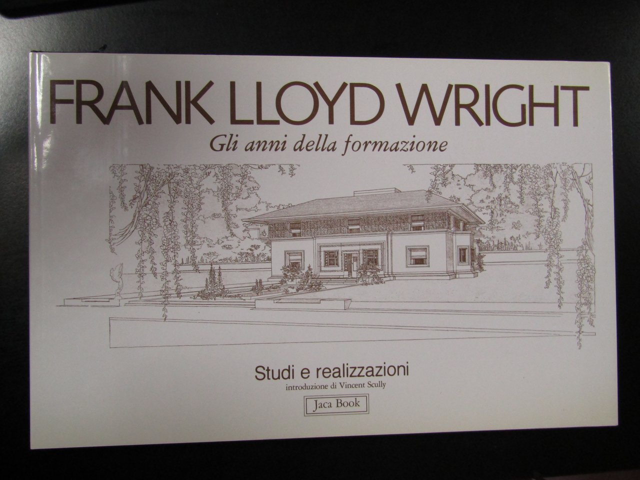 Frank Lloyd Wright. Gli anni della formazione. Jaca Book 1986.