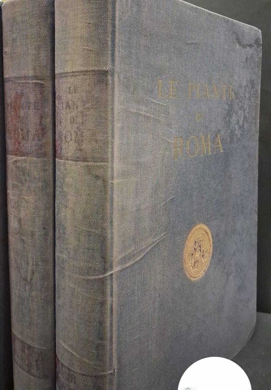 Frutaz, Amato Pietro. Le piante di Roma 3 voll. Roma … | Immagine Gallery 3