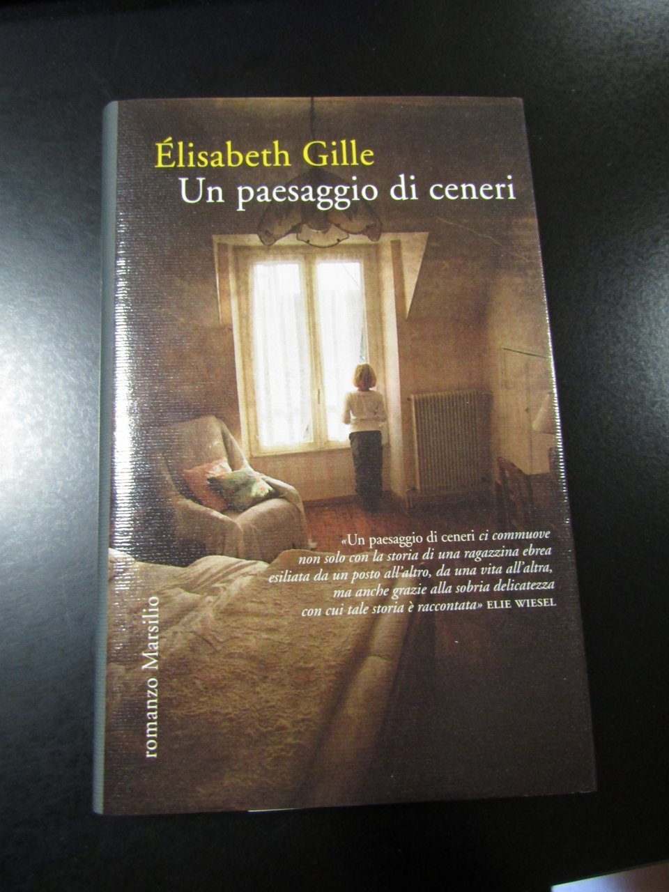 Gille Elisabeth. Un paesaggio di ceneri. Marsilio 2014 - I.