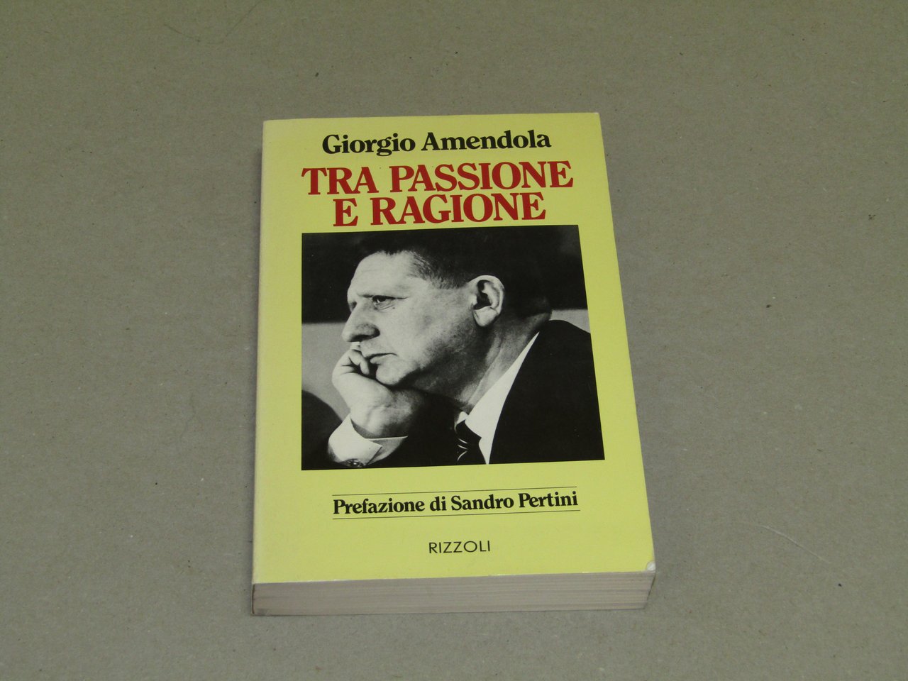 Giorgio Amendola. Tra passione e ragione