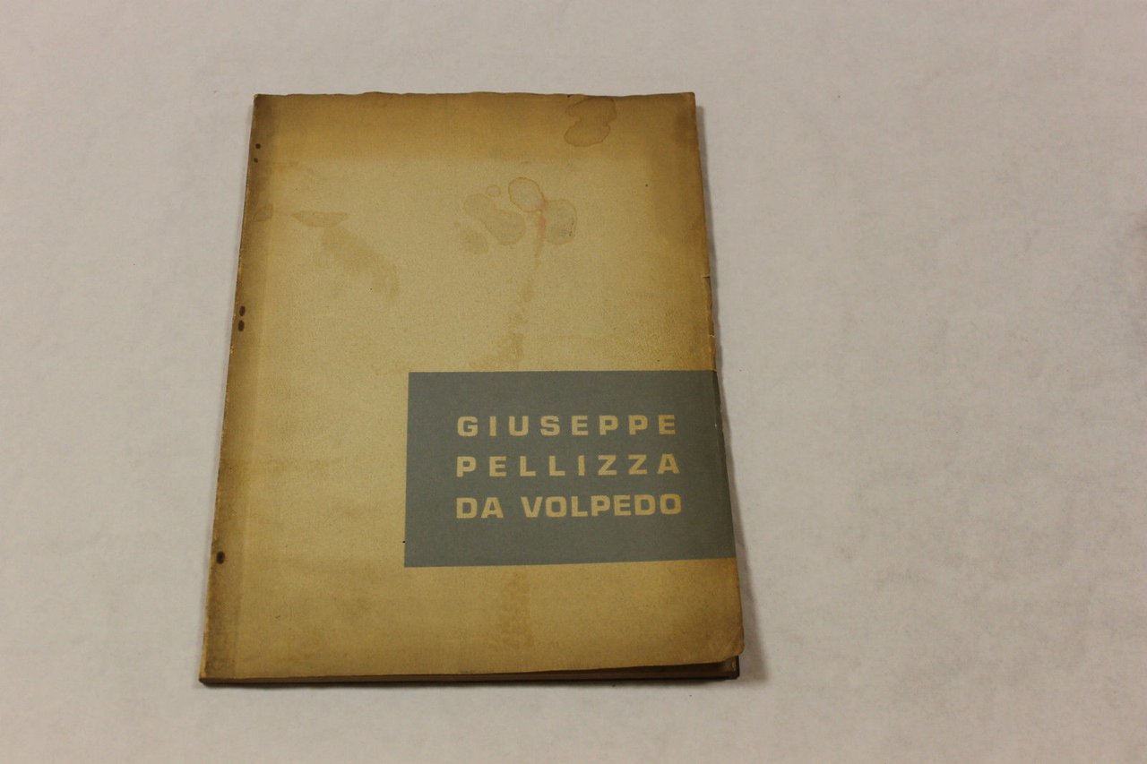 GIUSEPPE PELLIZZA DA VOLPEDO 1868 - 1907
