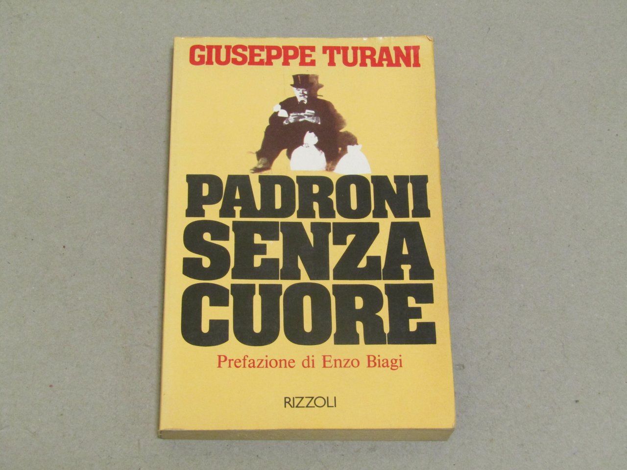 Giuseppe Turani. Padroni senza cuore