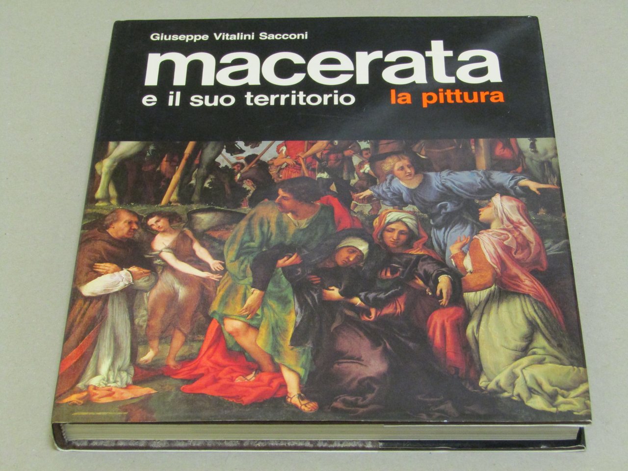 Giuseppe Vitalini Sacconi. Macerata e il suo territorio. La pittura