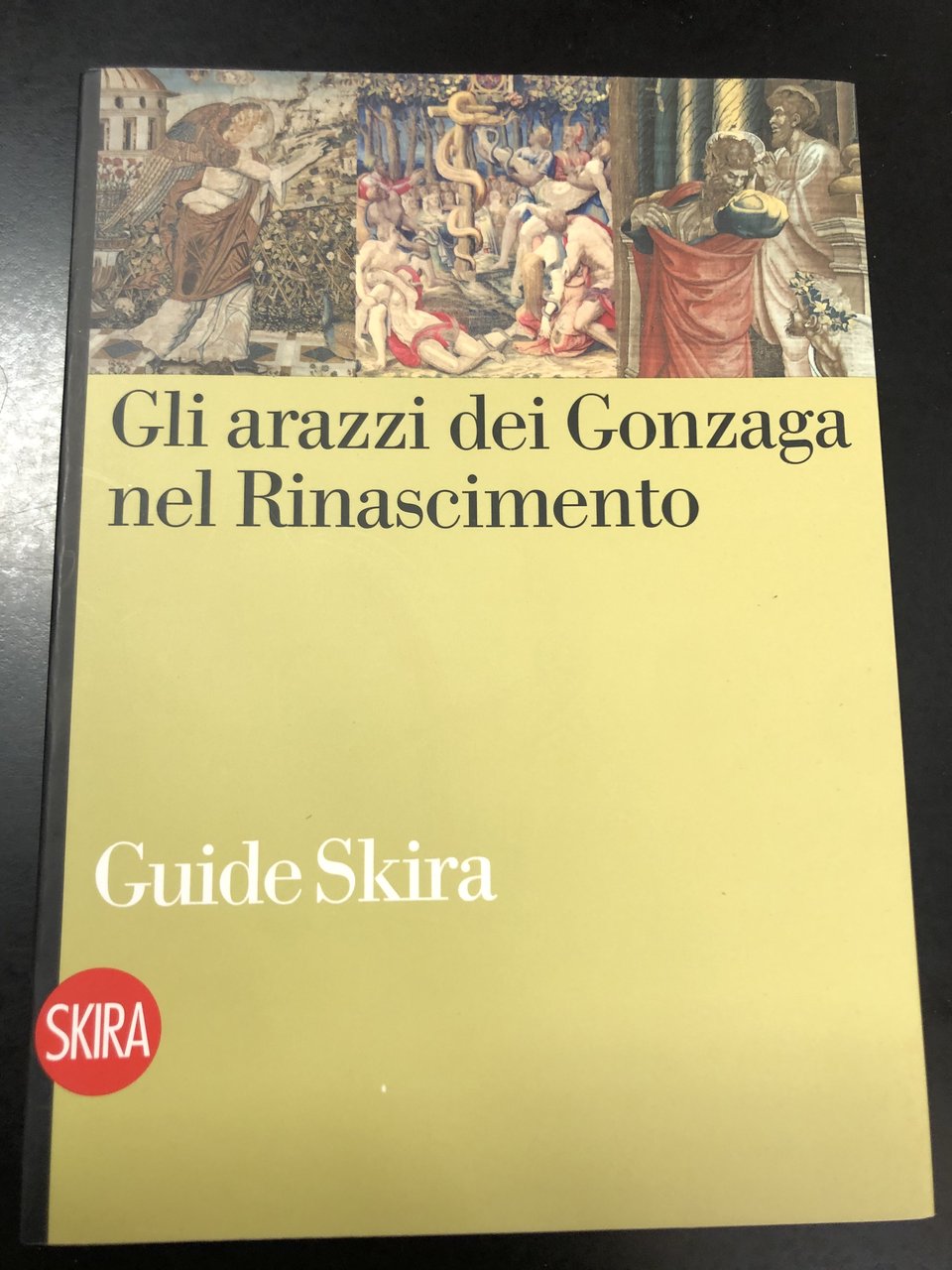 Gli arazzi dei Gonzaga nel Rinascimento. Skira. 2010