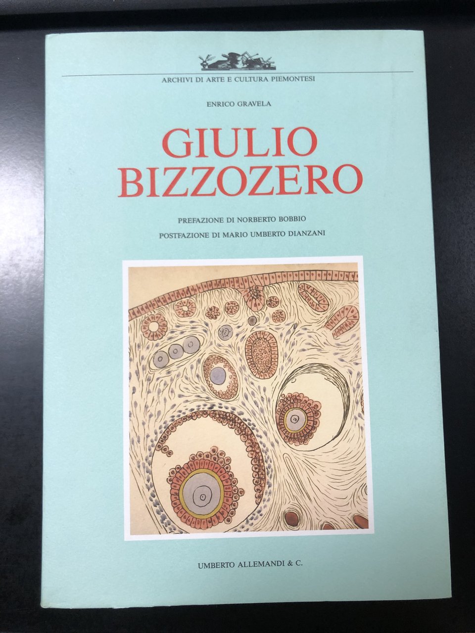 Gravela Enrico. Giulio Bizzozero. Umberto Allemandi &amp; C. 1989 - …