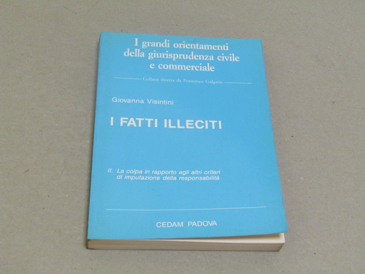I fatti illeciti. II: La colpa in rapporto agli altri … | Immagine principale