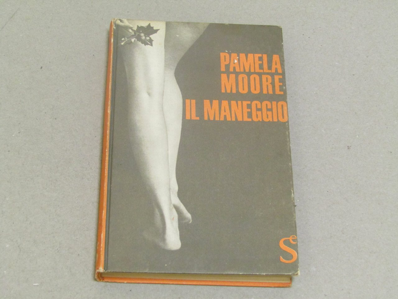 Il maneggio | Immagine principale