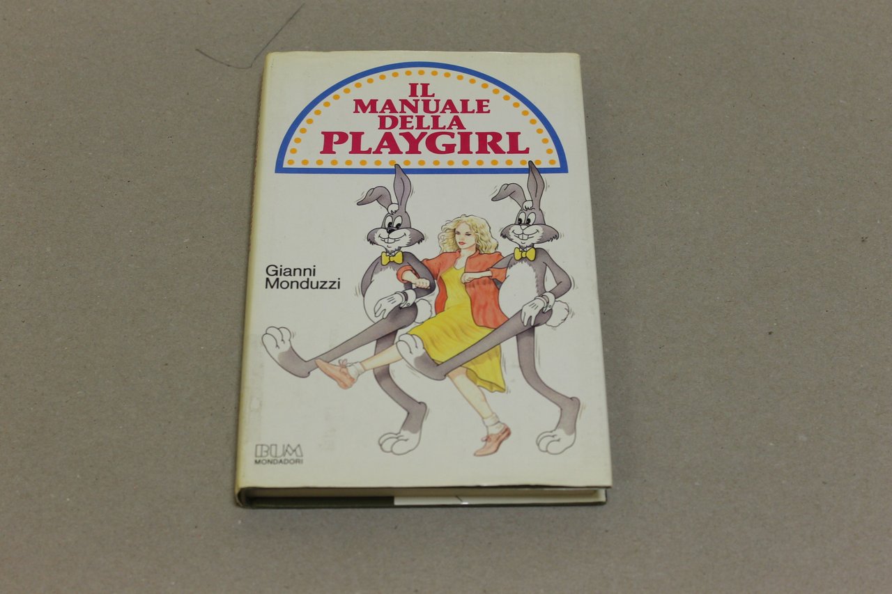 Il manuale della Playgirl | Immagine principale