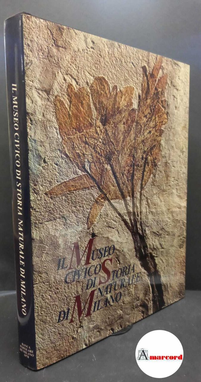 Il Museo Civico di Storia Naturale di Milano. a cura … | Immagine principale