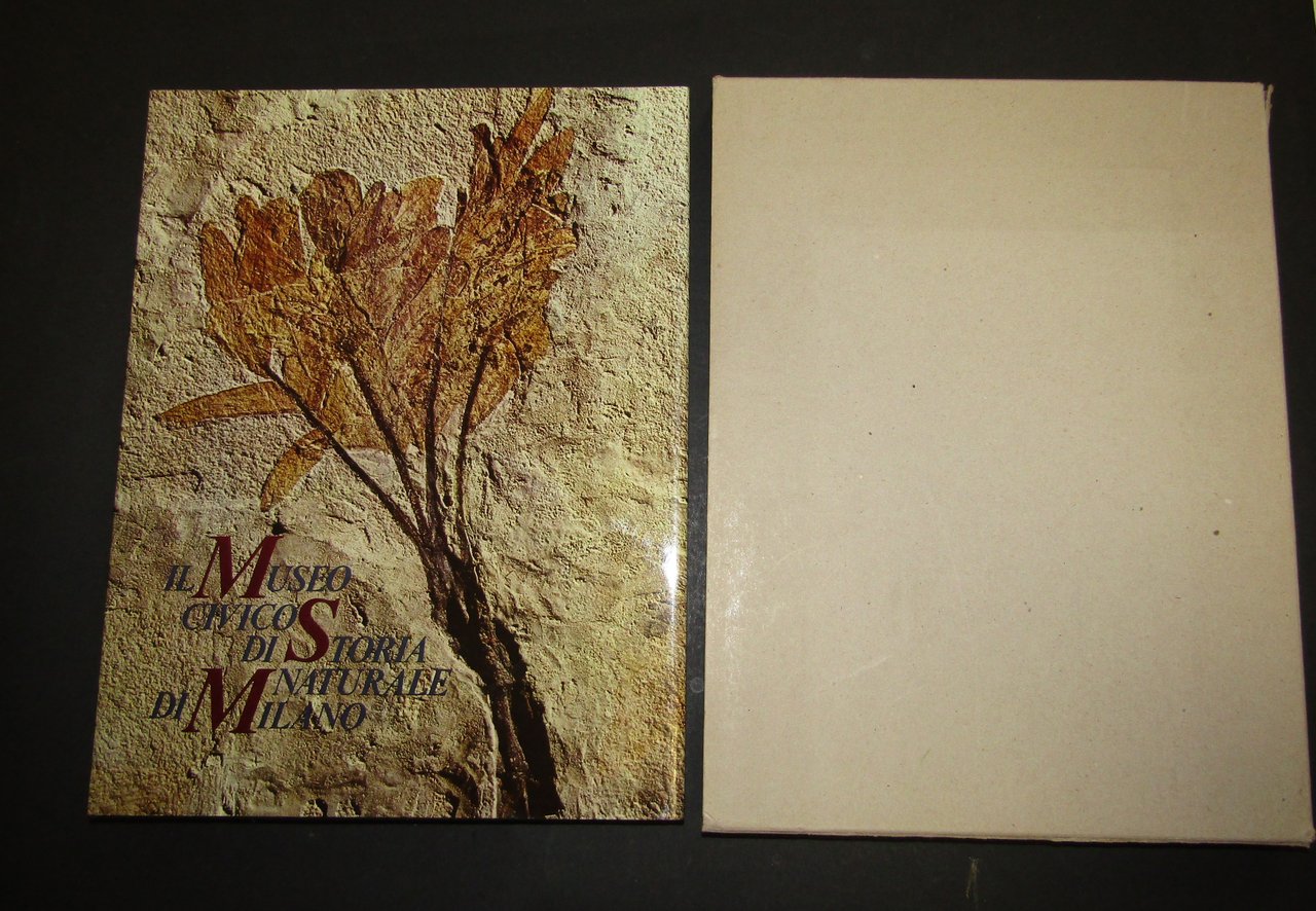 Il Museo Civico di Storia Naturale di Milano. a cura … | Immagine principale