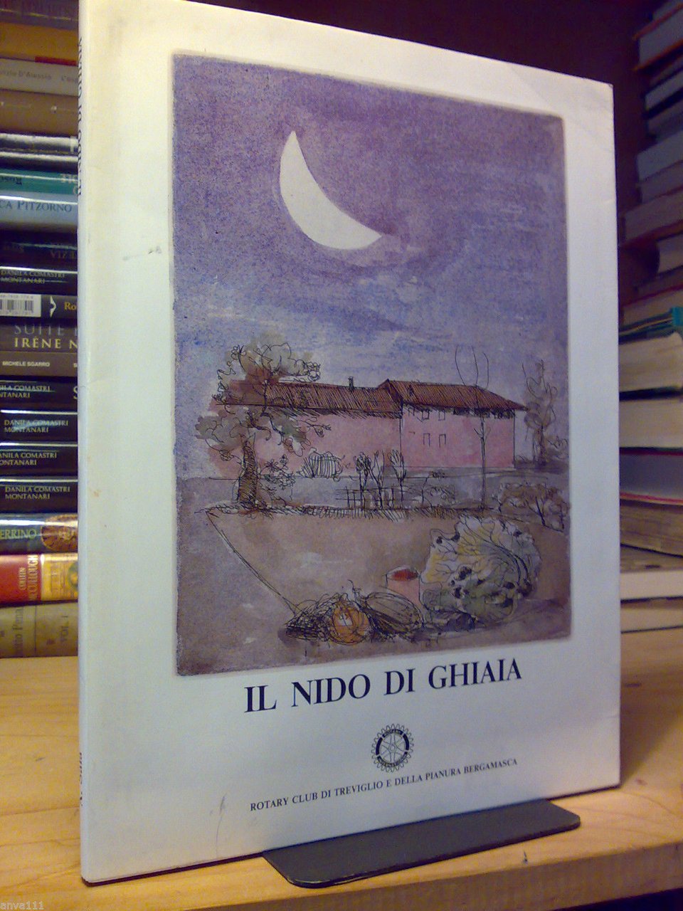 IL NIDO DI GHIAIA - 1983 - di Alberico Sala, …