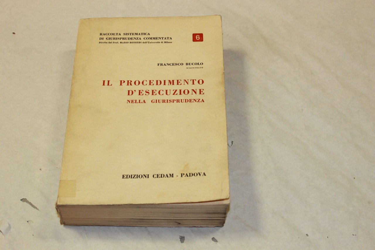 Il procedimento d'esecuzione nella giurisprudenza