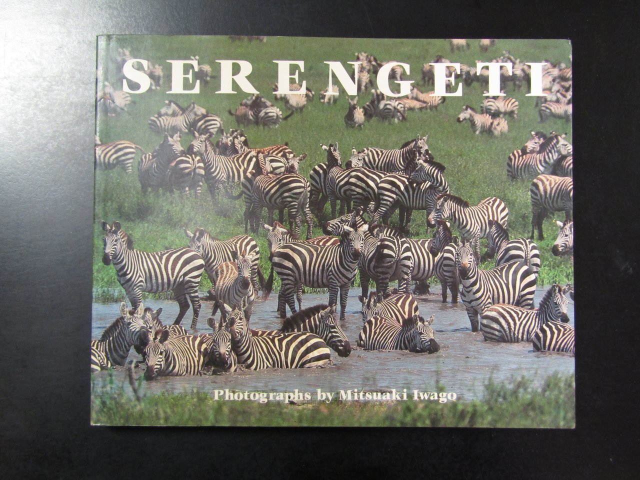 Iwago Mitsuaki. Serengeti. Natural Order on the African Plain. Thames …