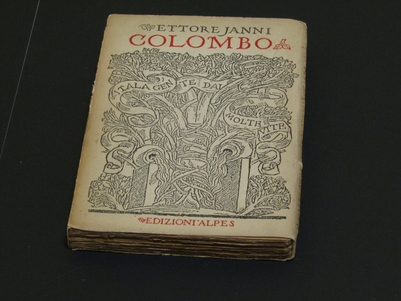 Janni Ettore. Colombo. Edizioni Alpes. 1924 - I
