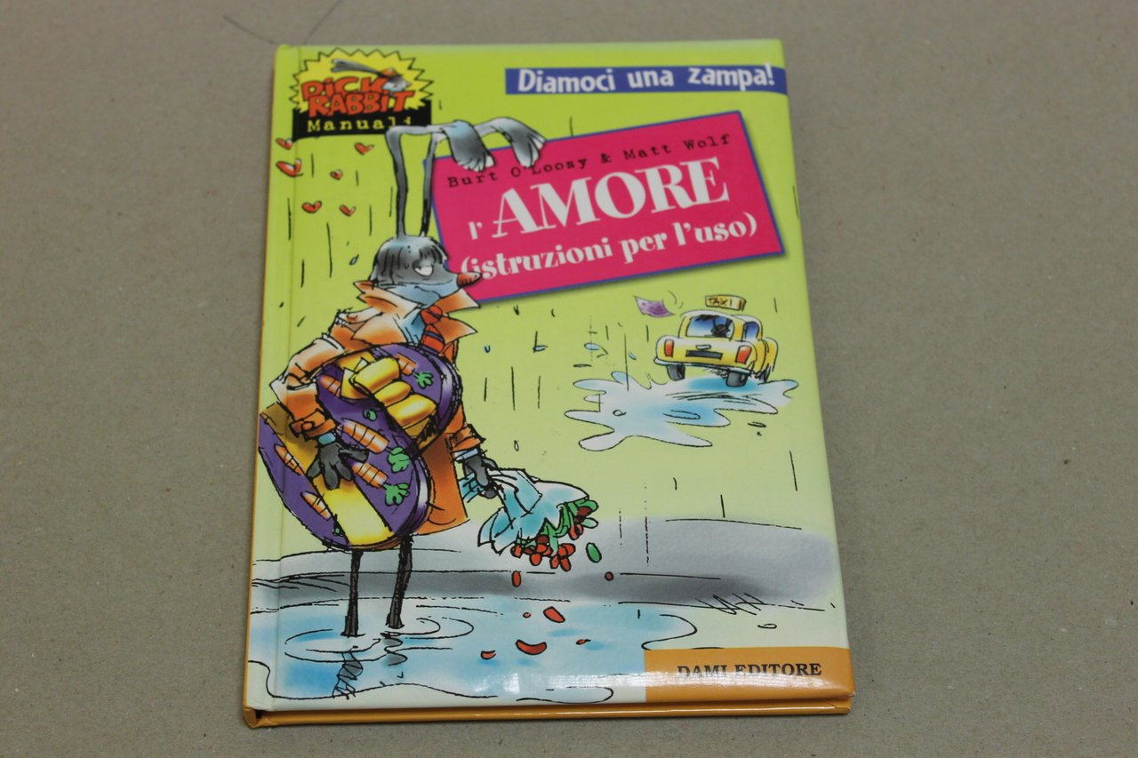 L'amore (istruzioni per l'uso)