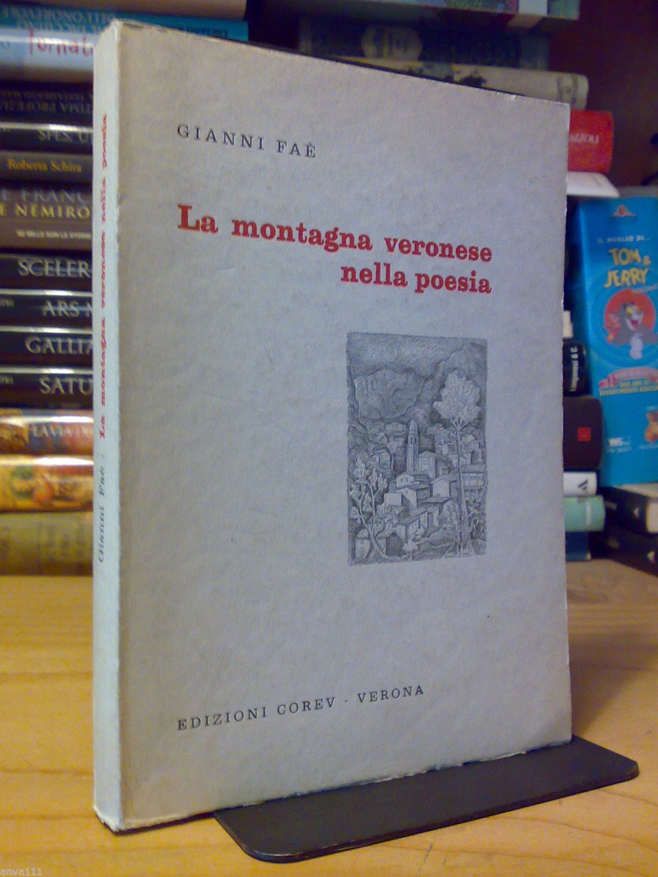 LA MONTAGNA VERONESE NELLA POESIA di Gianni Faè - Edizioni … | Immagine principale