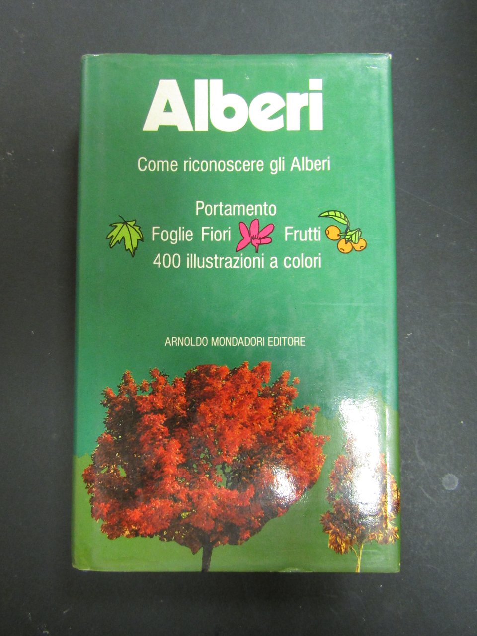 Lanzara Paola e Pizzetti Mariella. Alberi. Come riconoscere gli alberi. …