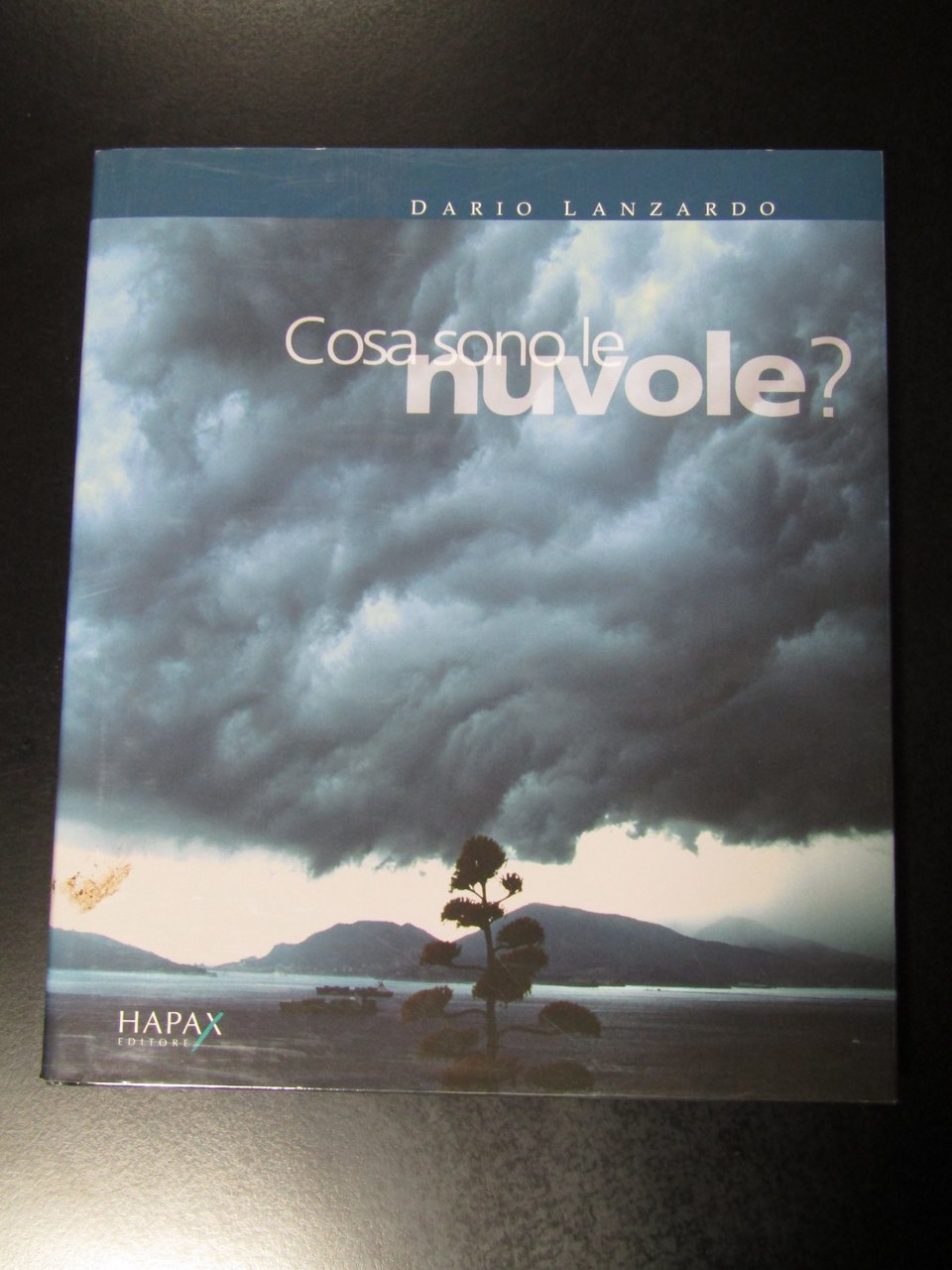 Lanzardo Dario. Cosa sono le nuvole. Hapax editore 2009.