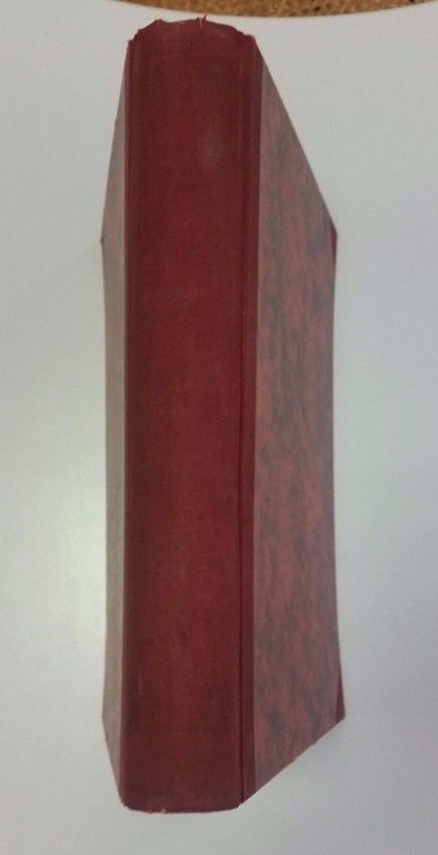 Le avventure di Pinocchio-ill. Mussino | Immagine Gallery 4