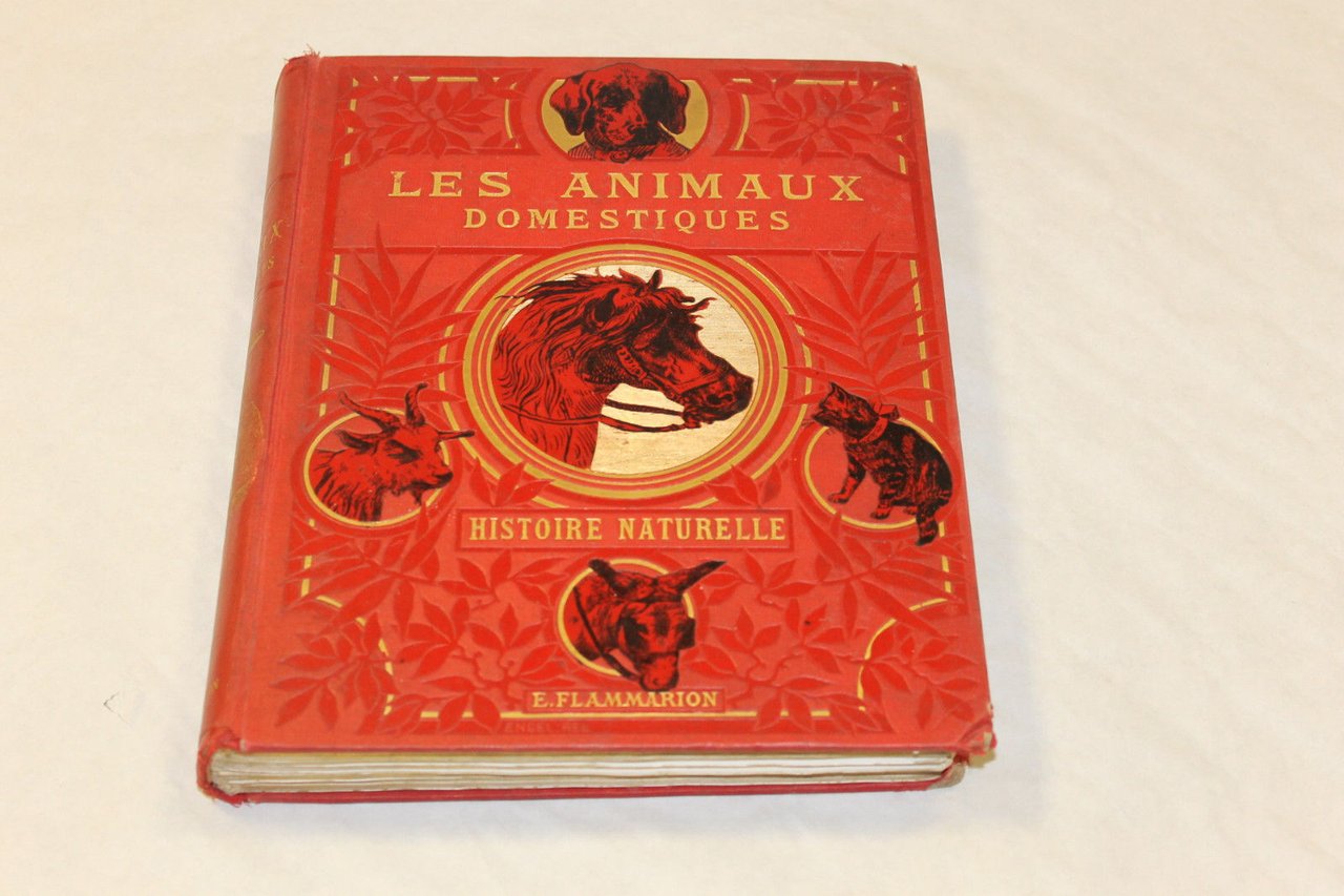 Les animaux domestique