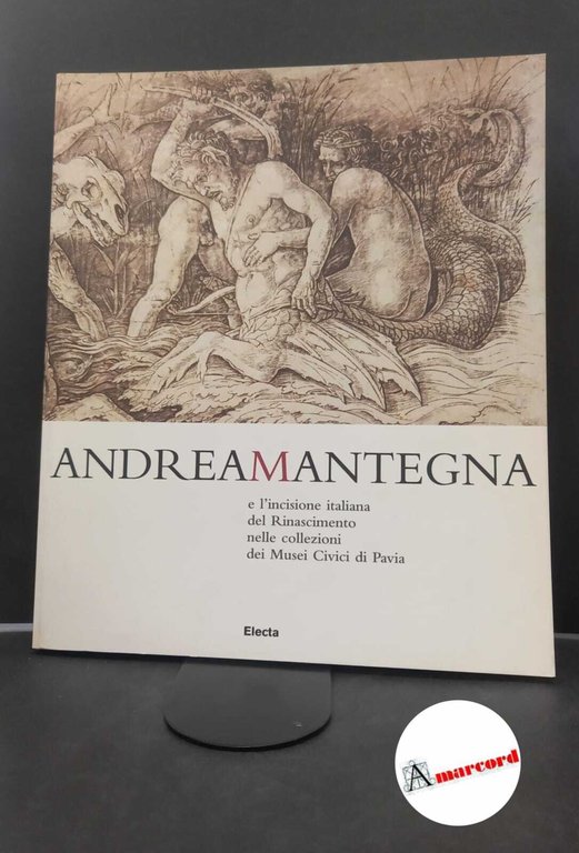Lomartire, Saverio. , Musei civici di Pavia. Andrea Mantegna e l'incisione italiana del Rinascimento nelle collezioni dei Musei civici di Pavia Milano Electa, 2003