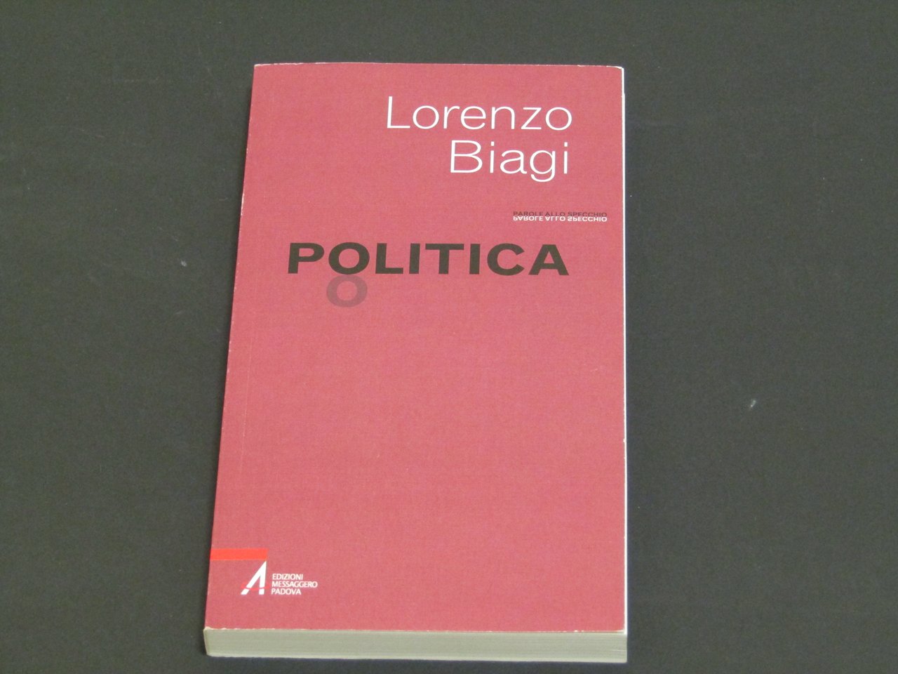 Lorenzo Biagi. Politica | Immagine principale