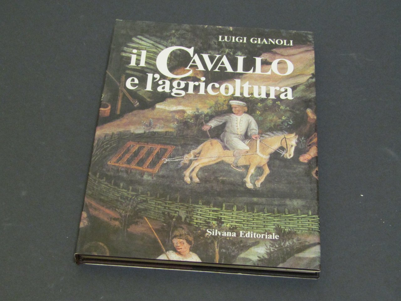Luigi Gianoli. Il cavallo e l'agricoltura