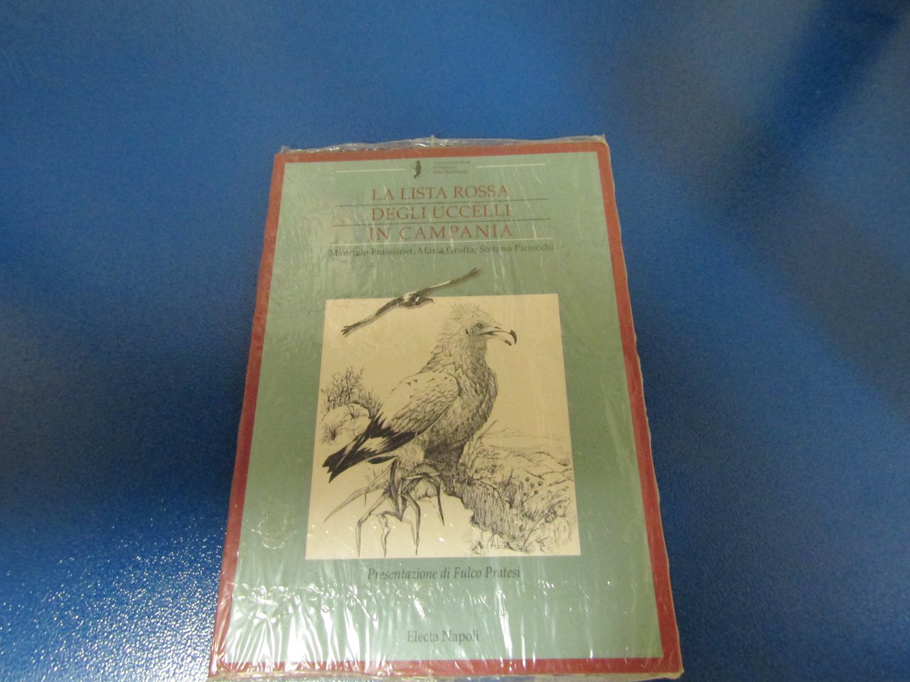 Maurizio Fraissinet, Maria Grotta, Stefano Piciocchi La lista rossa degli …