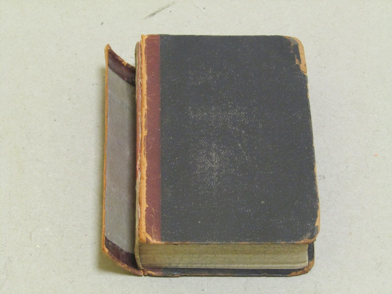 N. D. Il divoto del sacramento provveduto di apparecchi e …