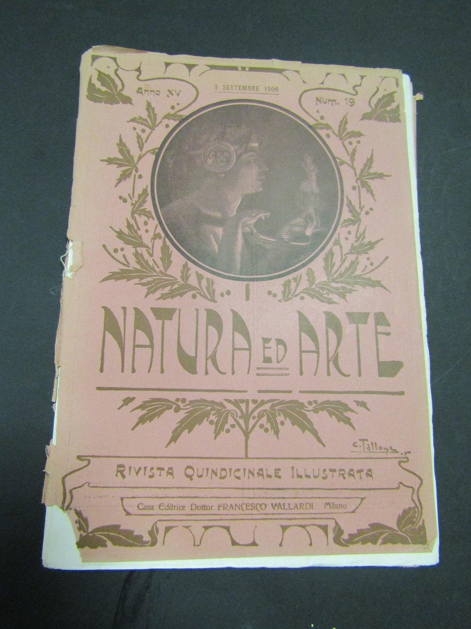 Natura ed arte. Rivista quindicinale illustrata. Anno XV. Num. 19. …