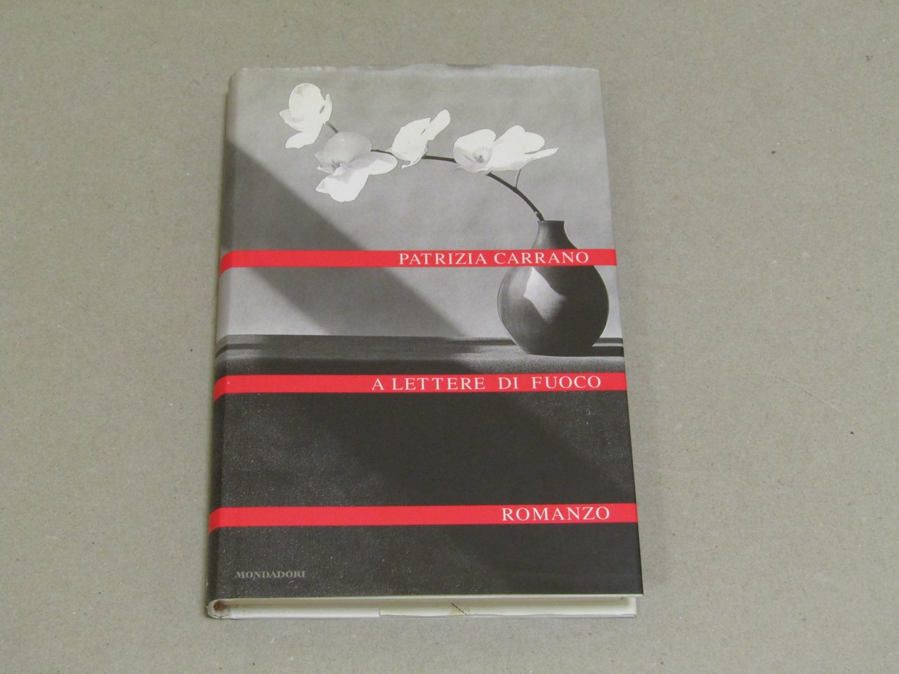 Patrizia Carrano. A lettere di fuoco