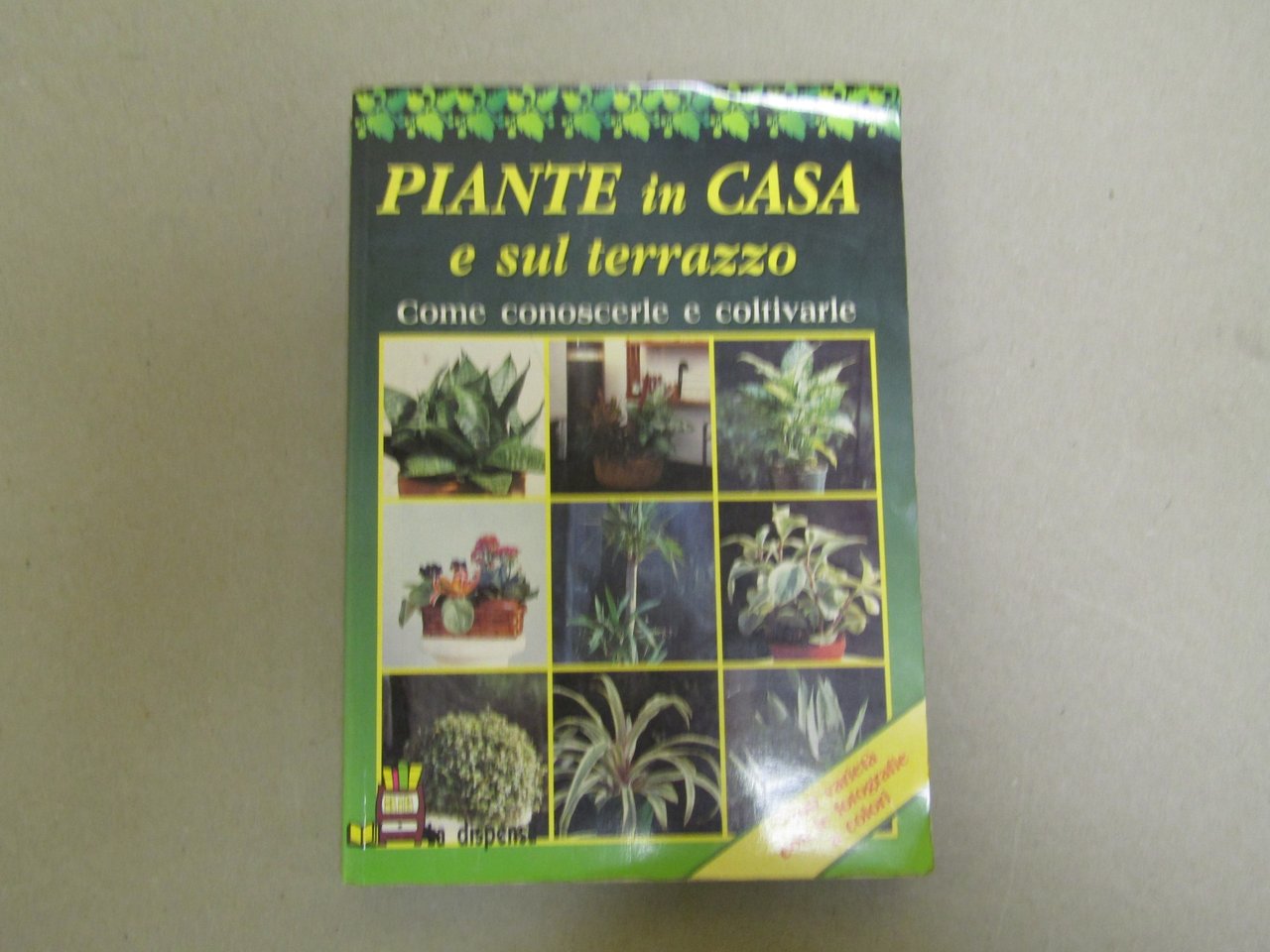 Pietro Paolo Gelio. Piante in casa e sul terrazzo