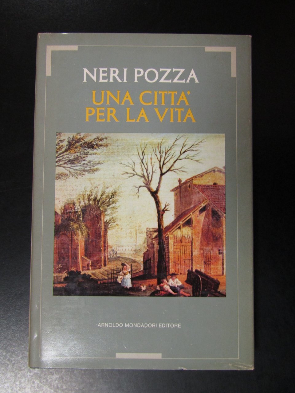 Pozza Neri. Una città per la vita. Mondadori 1979 - …