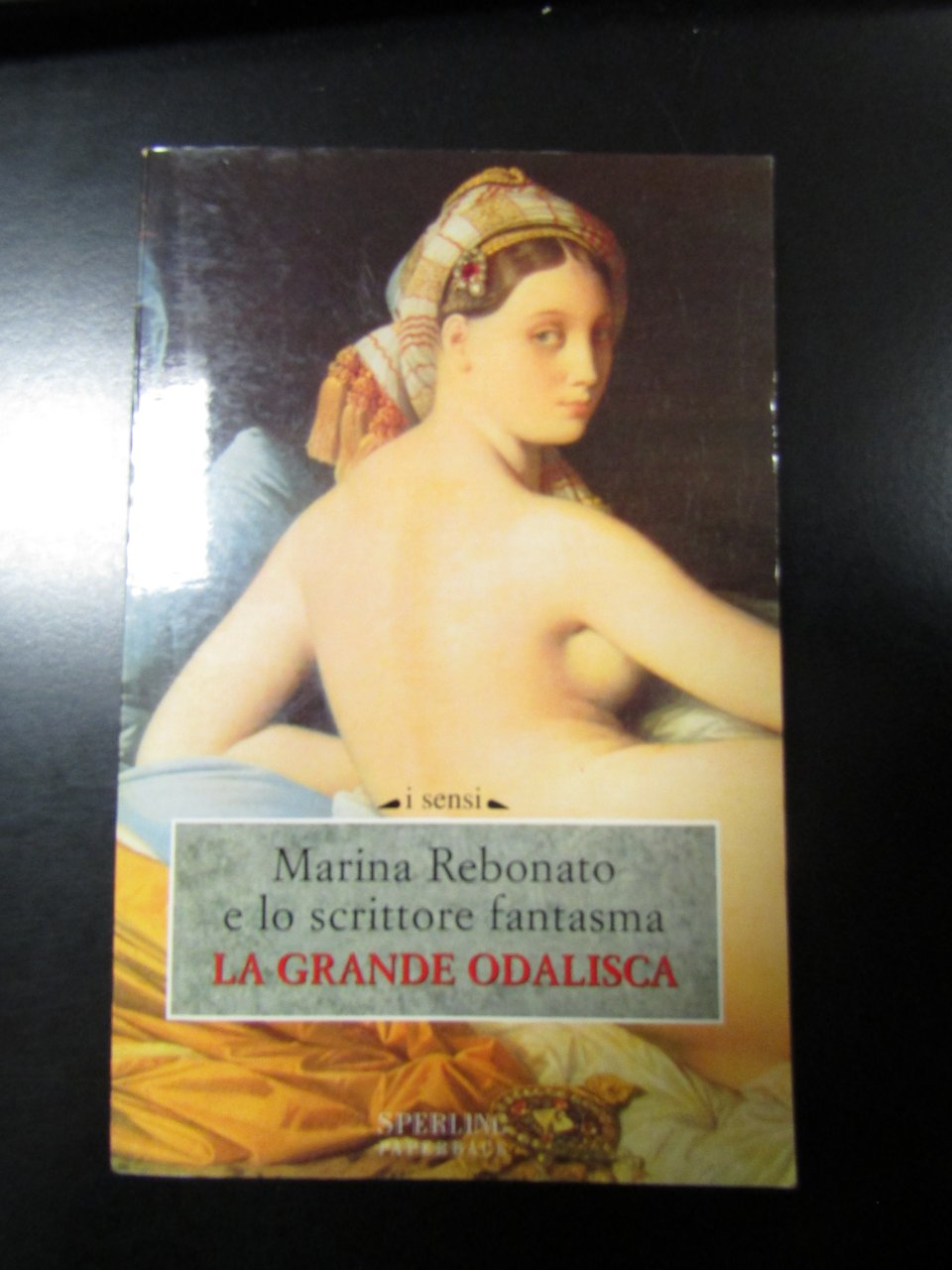 Rebonato Maria e lo scrittore fantasma. La grande odalisca. Sperling …