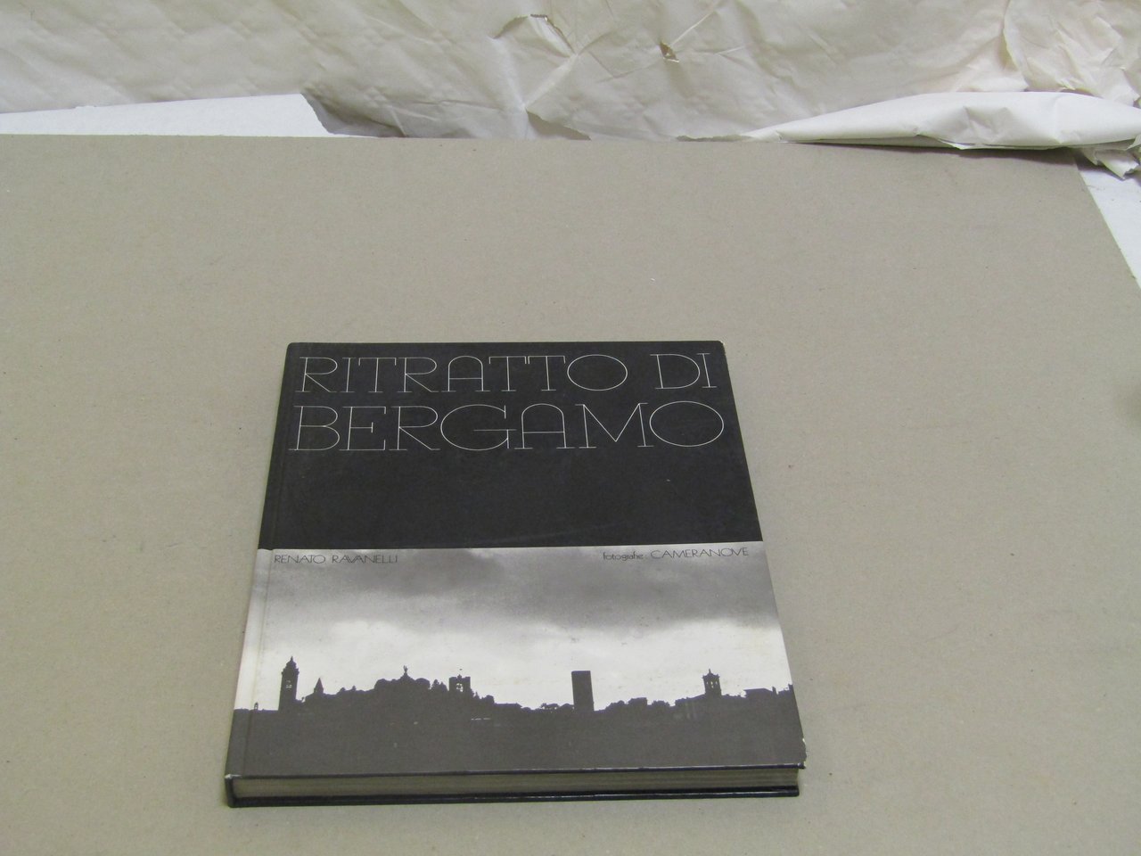 Renato Ravanelli. Ritratti di Bergamo.