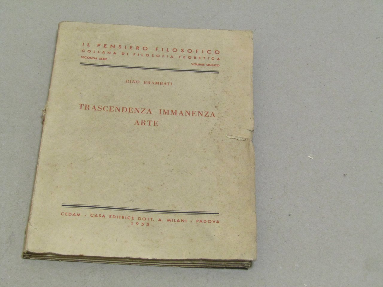 Rino Brambati. Trascendenza Immanenza Arte