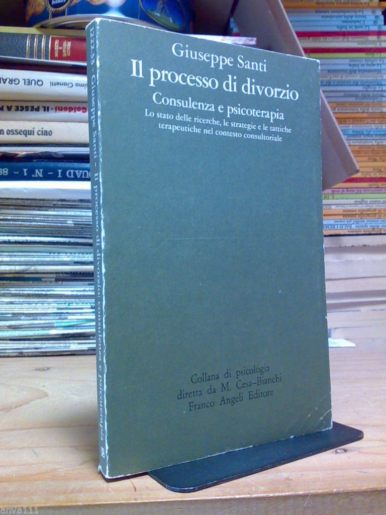 Santi Giuseppe - IL PROCESSO DI DIVORZIO - CONSULENZA E …