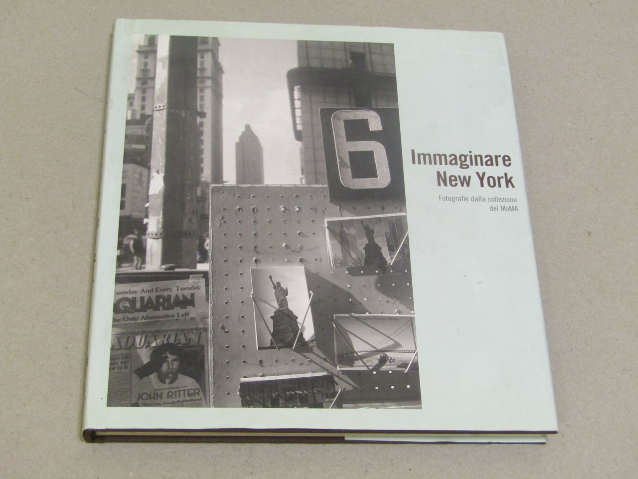 Sarah Hermanson Meister. Immaginare New York. 5 Continents. 2009