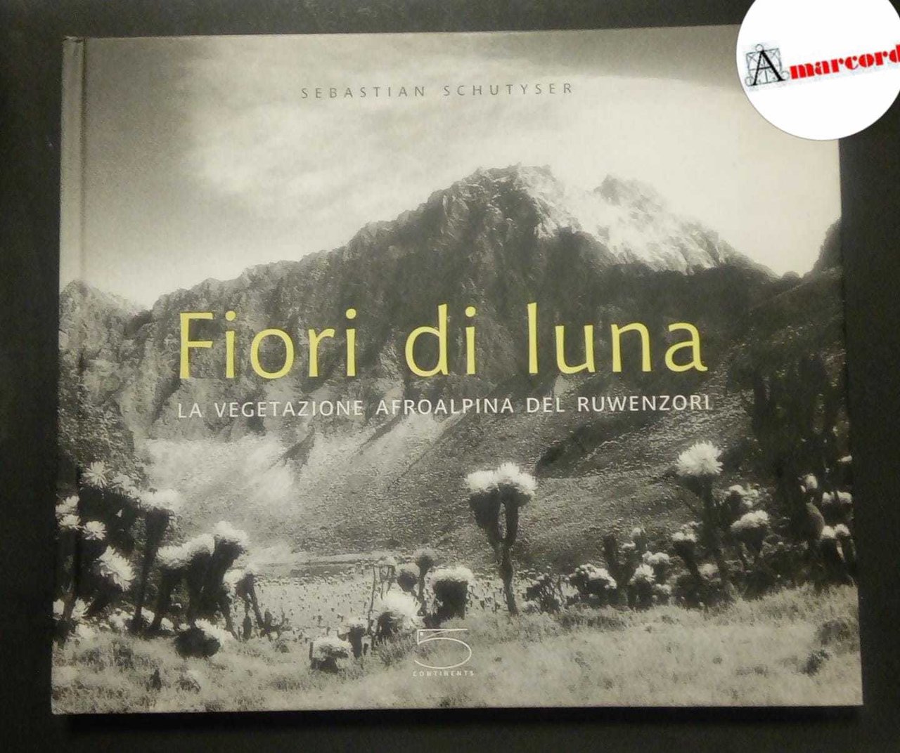 Schutyser Sebastian, Fiori di luna, 5 continents, 2007.
